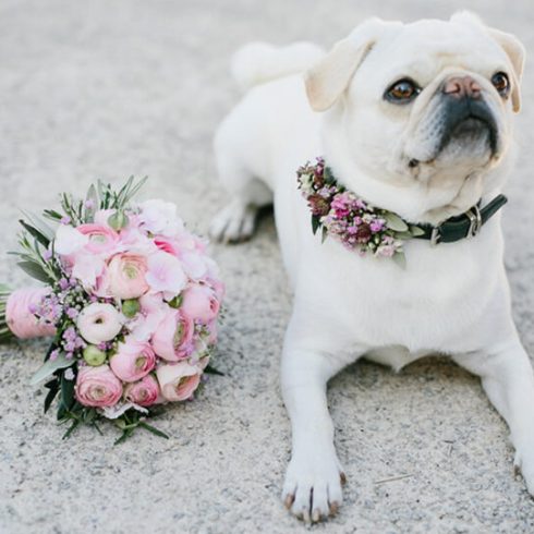 hoepelrok, must have