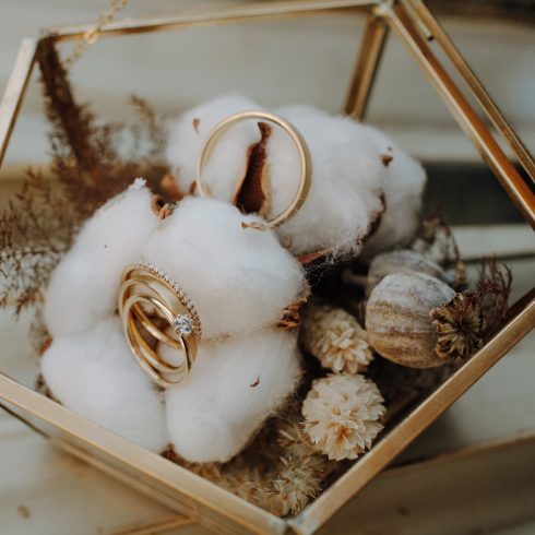 trouwringen, decor, ringen