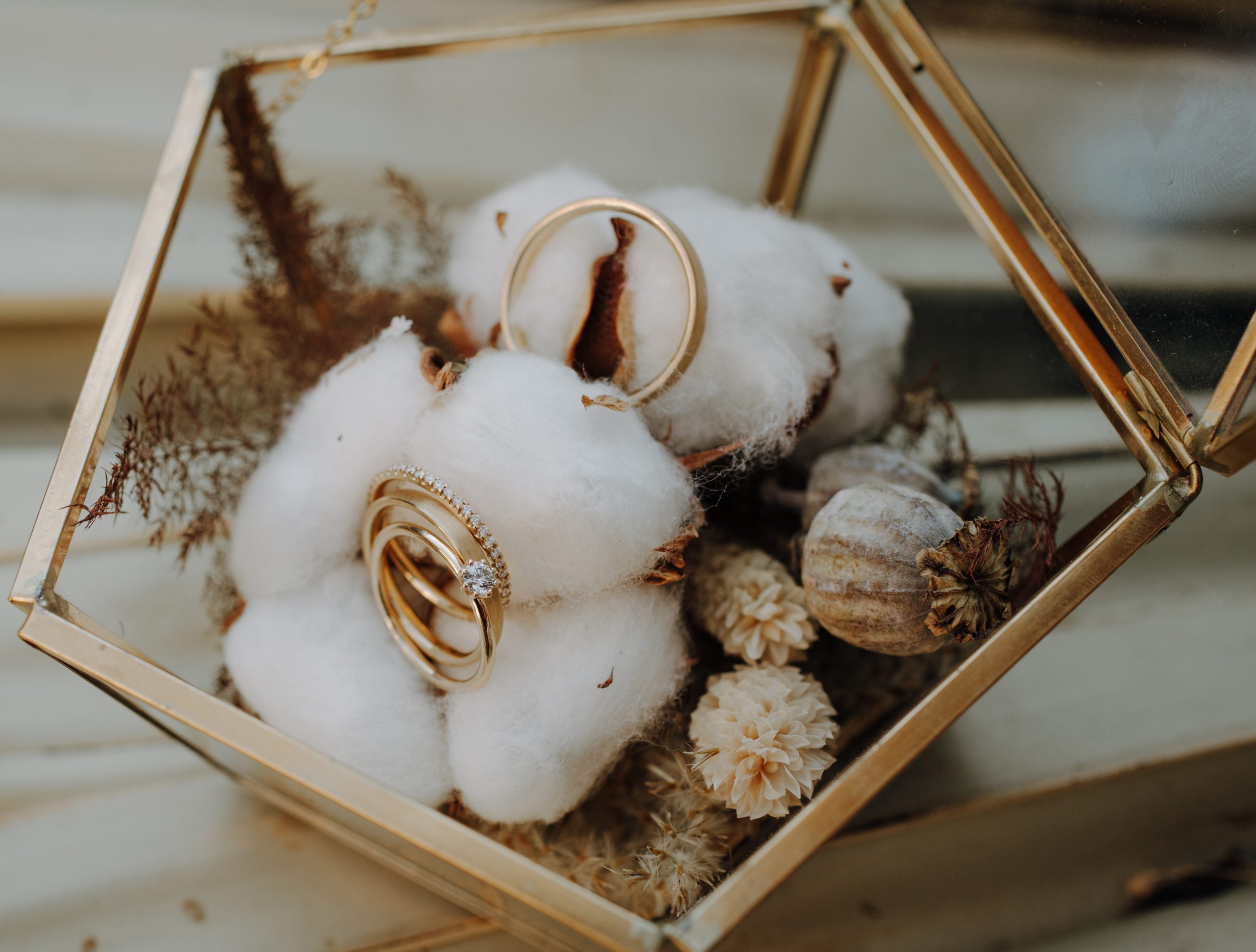 trouwringen, decor, ringen