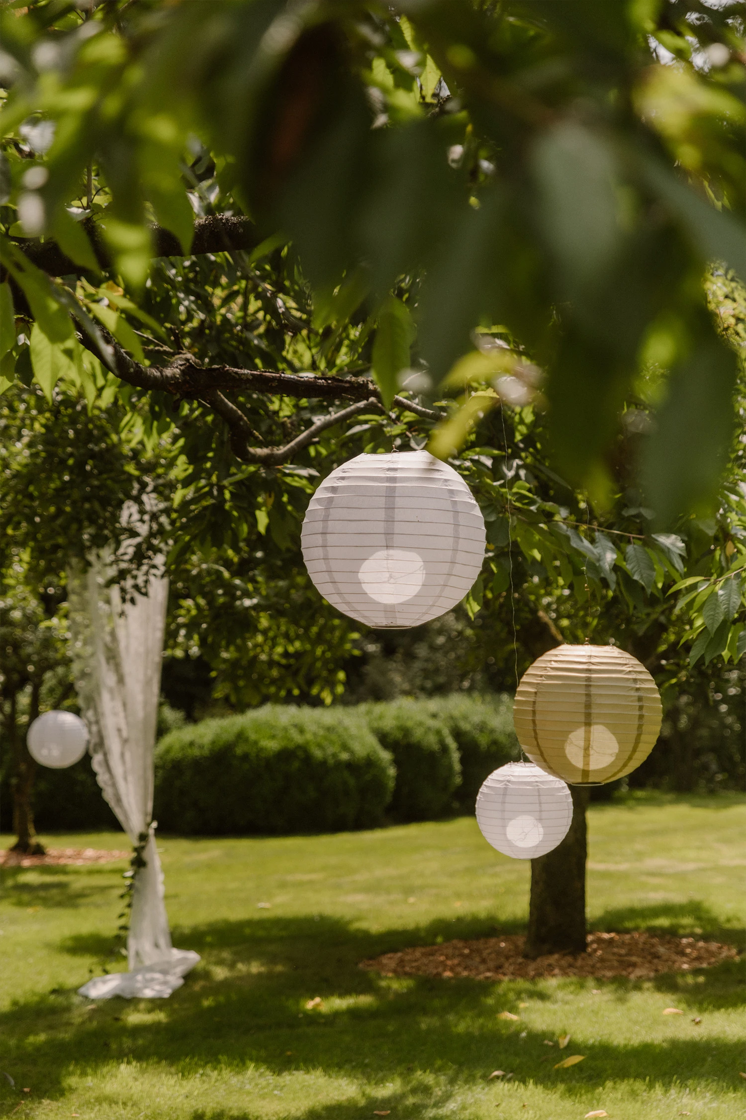 fotoshoot, decoratie, bruiloft