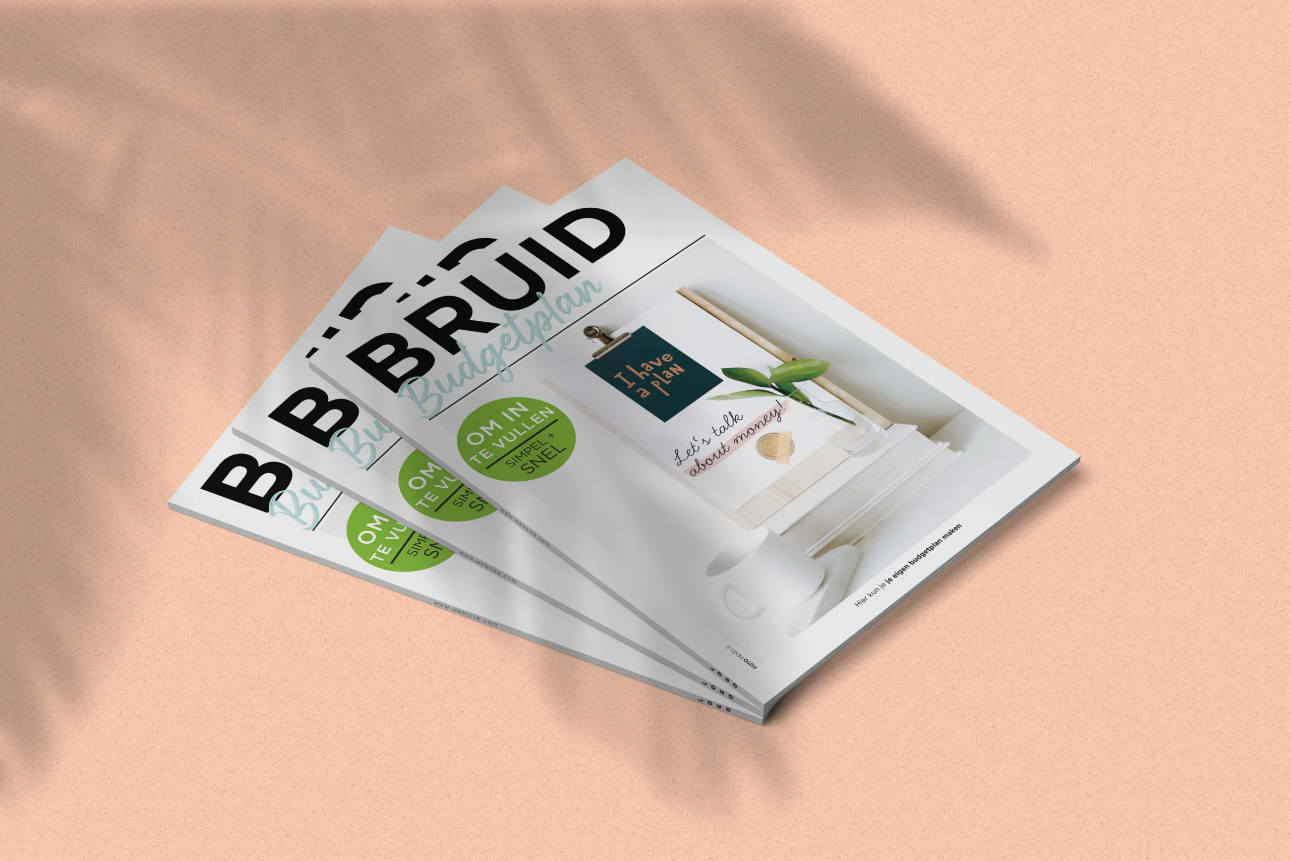 BRUID Budgetplan
