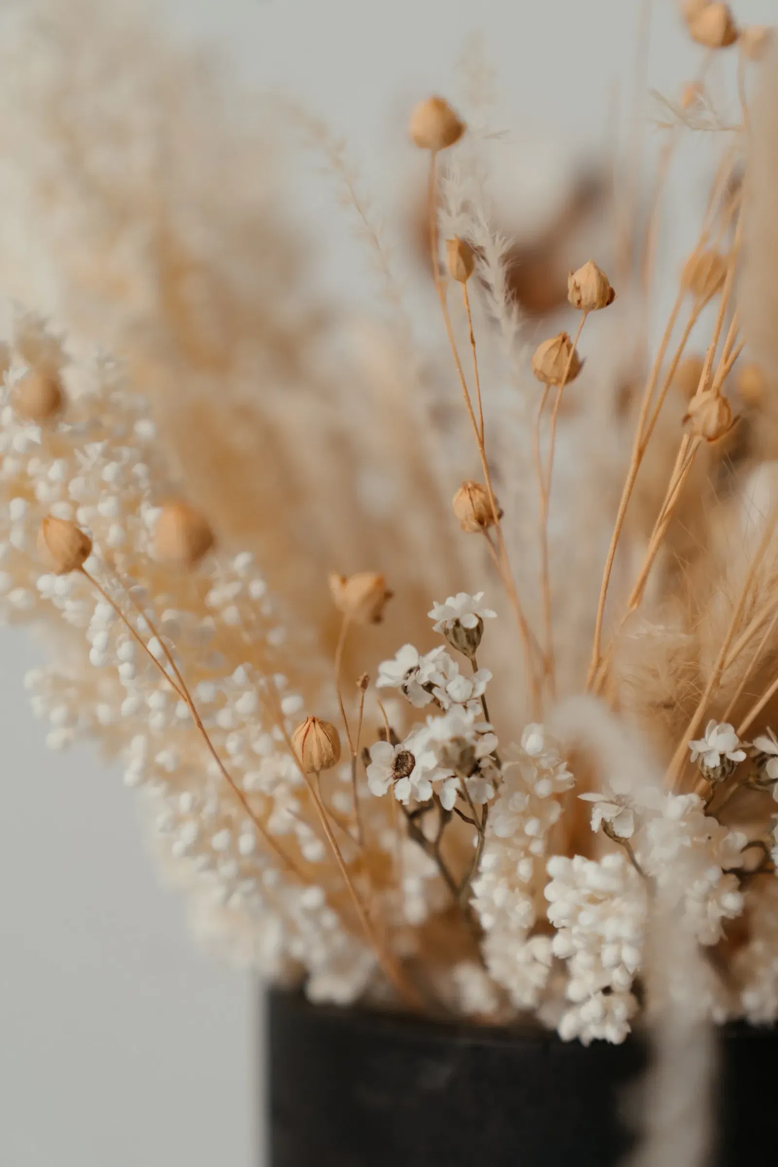 zwarte bloempot met witte en licht bruine droogbloemen