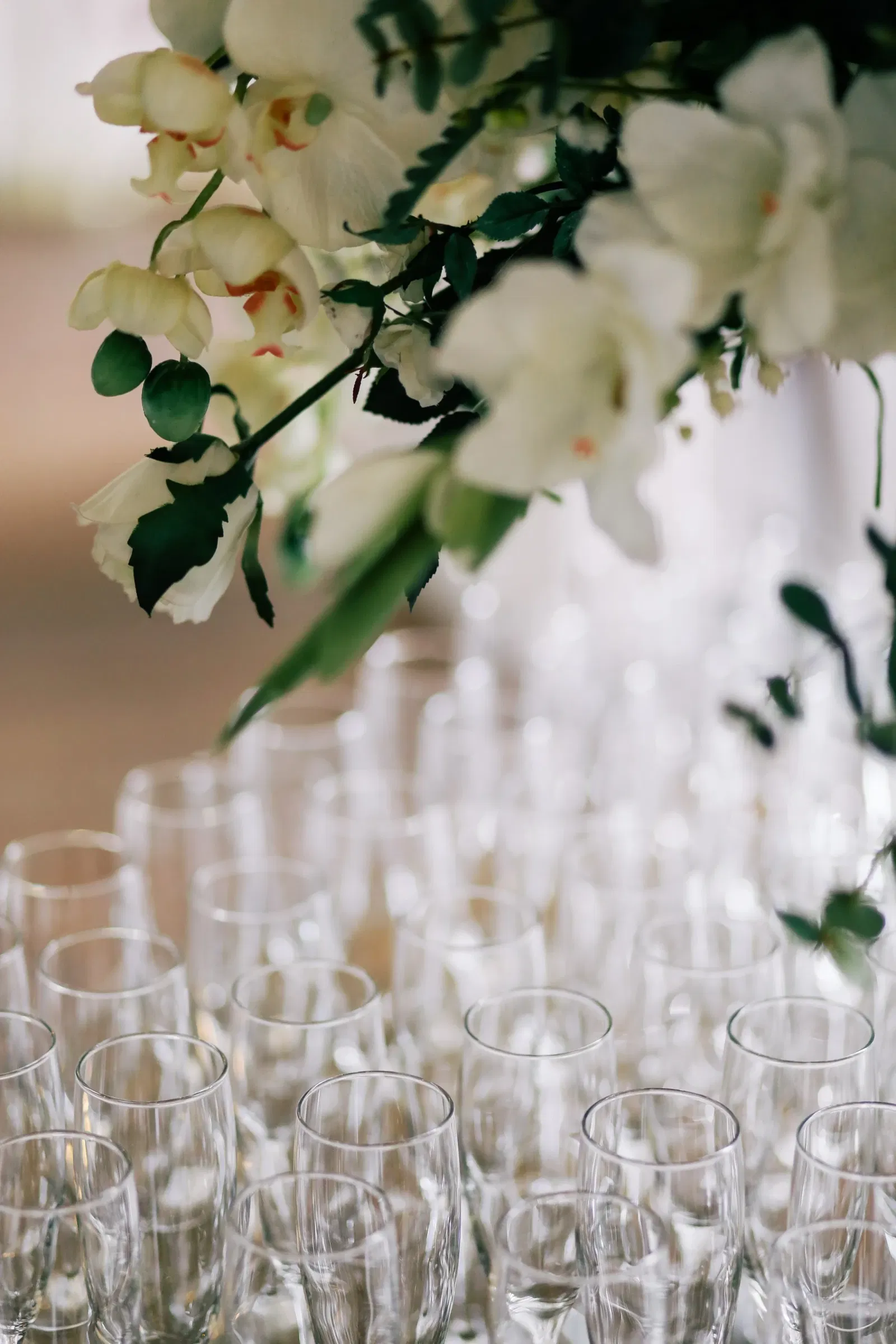 Glazen staan klaar voor receptie trouwerij, met mooie bloemen en groen erboven.