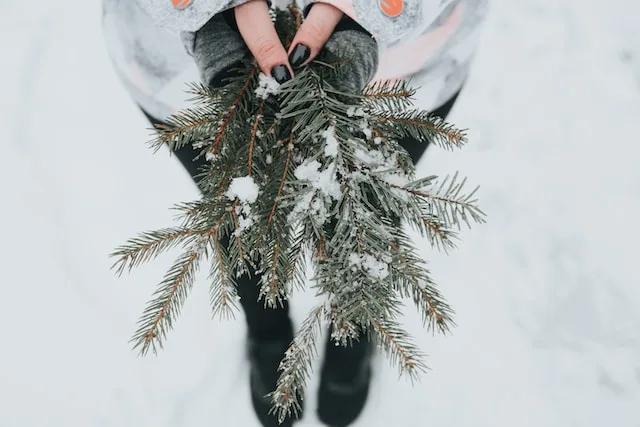 Vind de perfecte bloemen voor jullie winterbruiloft Vind de perfecte bloemen voor jullie winterbruiloft