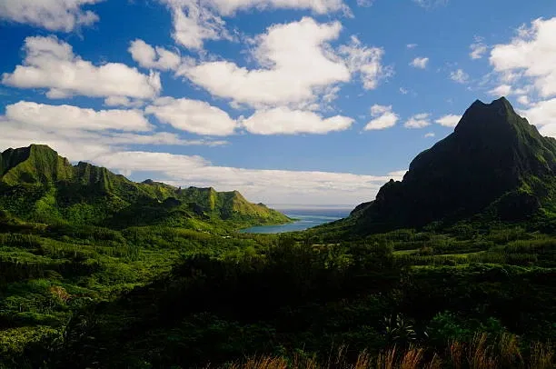 De Opunohu Valley in Mo'orea.