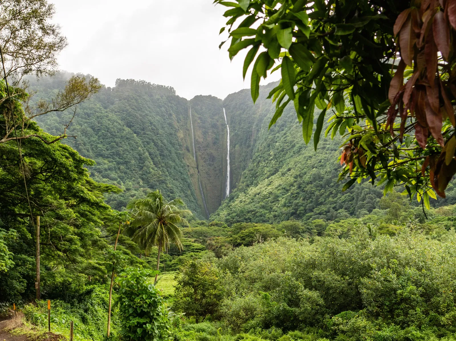 Big Island Hawaii