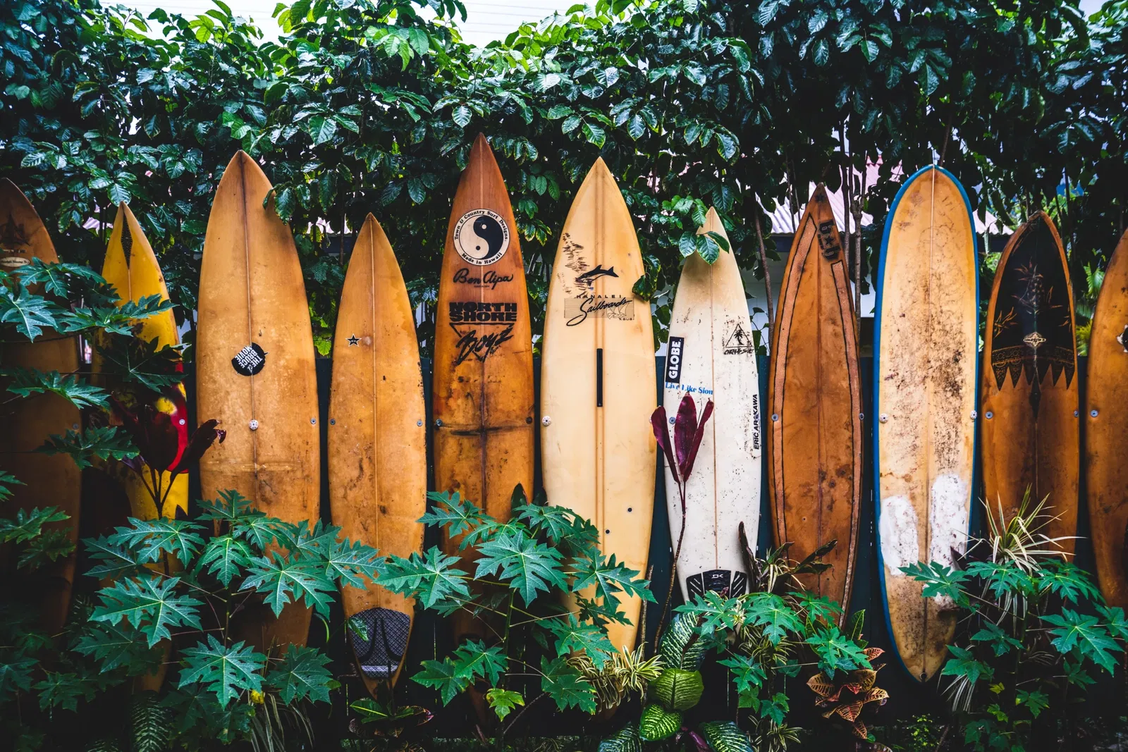 surfborden op hawaii