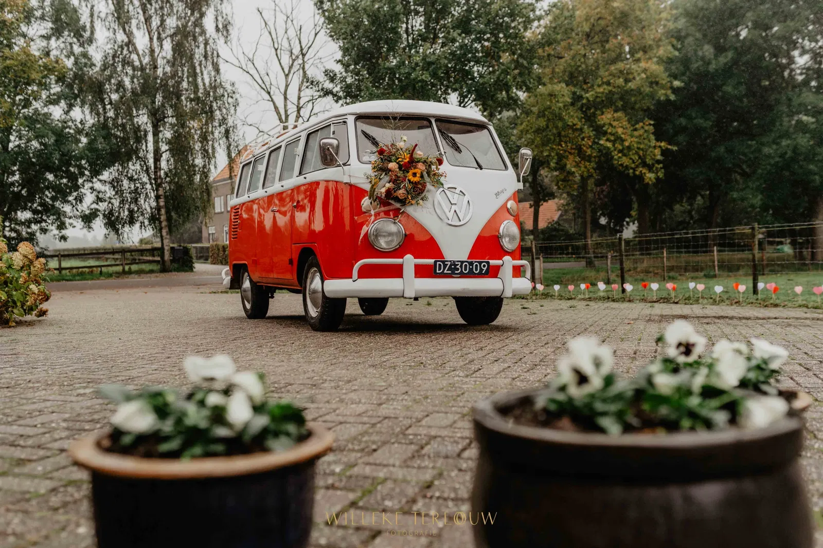 Oldtimer, rood Volkswagen busje.