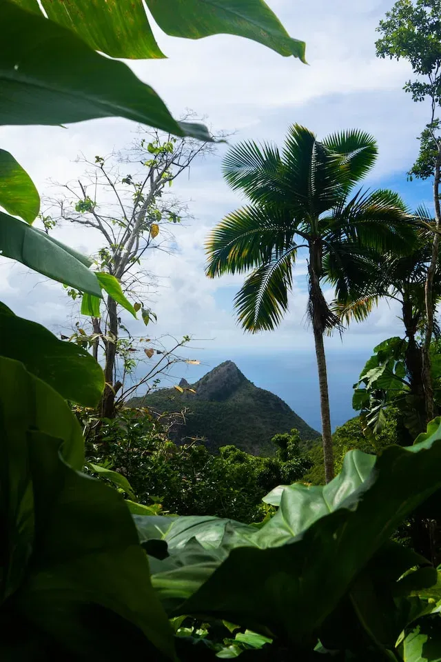 Een foto in Saba van een berg