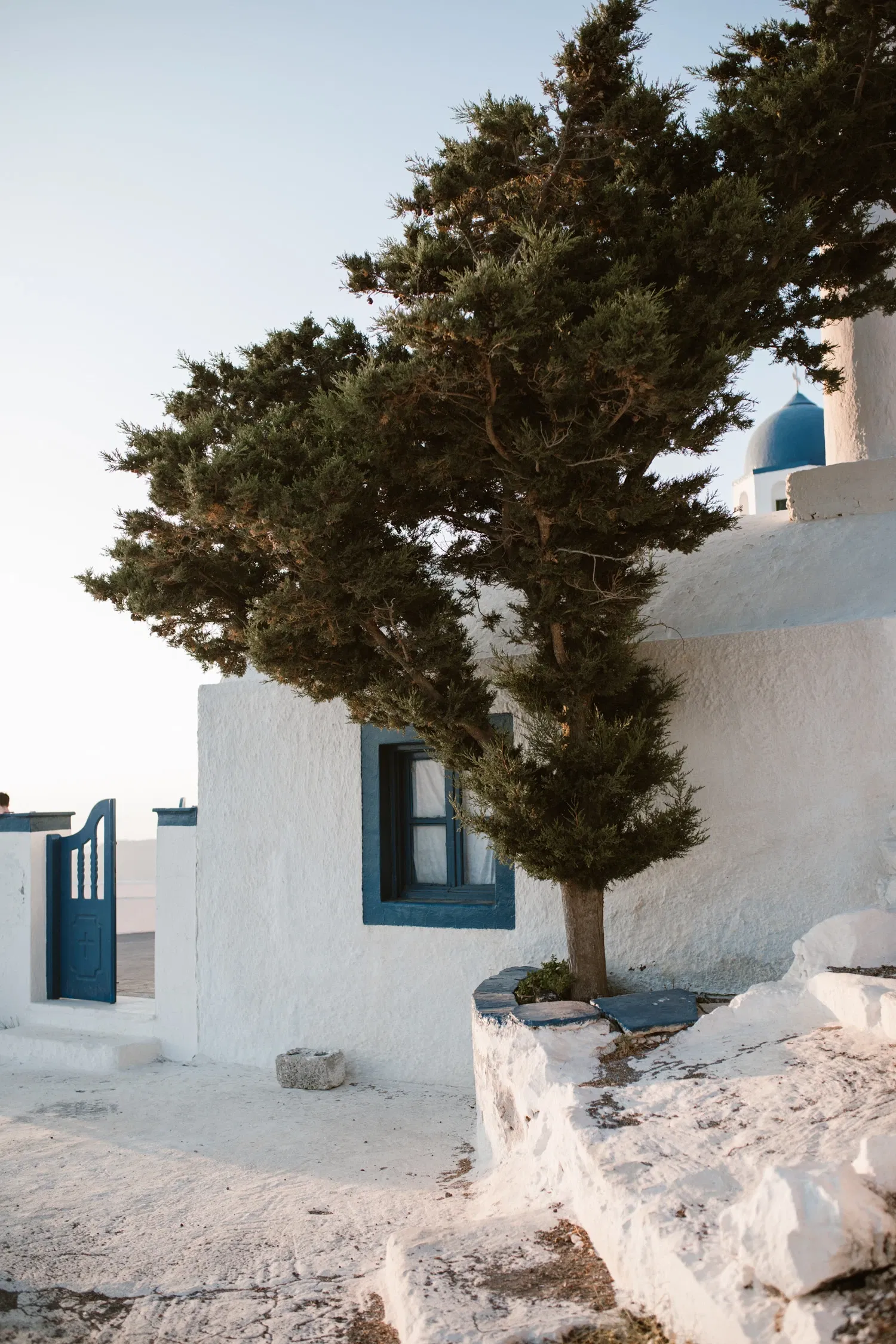 Een schilderachtige witte woning met blauwe kozijnen en een bijpassende blauwe poort, gelegen op een zonnige heuvel in Santorini. Een groene boom met een gebogen stam groeit naast het huis, terwijl op de achtergrond een kenmerkende witte kapel met een blauwe koepel zichtbaar is. De warme gloed van de zon benadrukt de texturen van de muren en de stenen paden.