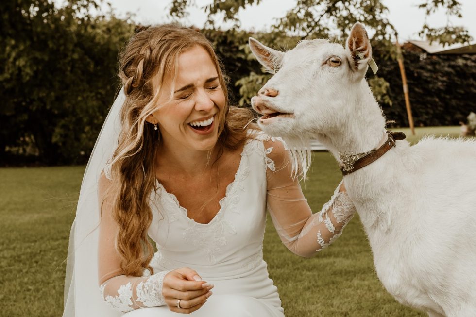 Bruid lacht met gesloten ogen terwijl een geit naast haar staat tijdens trouwshoot op het grasveld.
