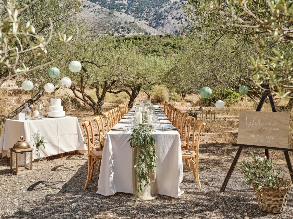 Lange gedekte dinertafel in olijfboomgaard met lantaarns en papieren lampionnen.